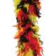 Boa plumes tricolores Allemagne