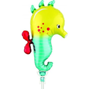 Ballon hippocampe