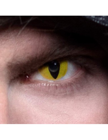 Lentilles creep jaune