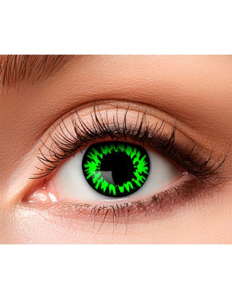 Lentilles loup vert