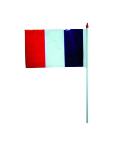 Drapeau plastique France