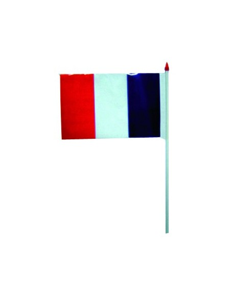 Drapeau plastique France