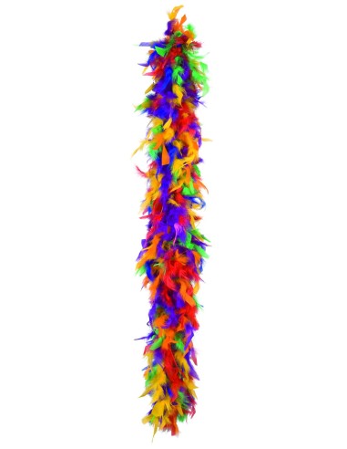 Boa plumes multicolores