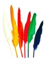 Lot de 12 plumes indiens