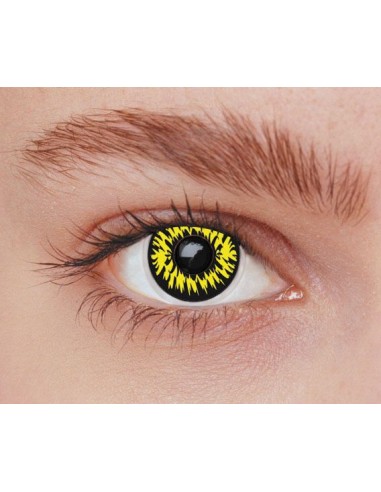 Lentilles loup jaune