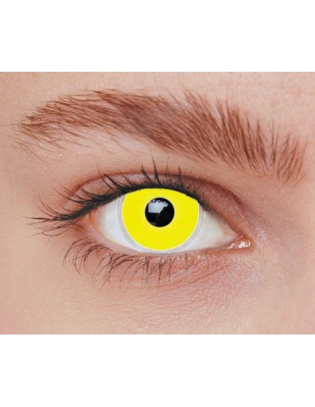 Lentilles iris jaune