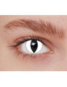 Lentilles iris chat blanc