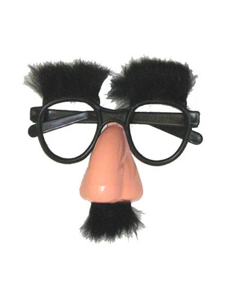 Lunettes Groucho avec nez et poils